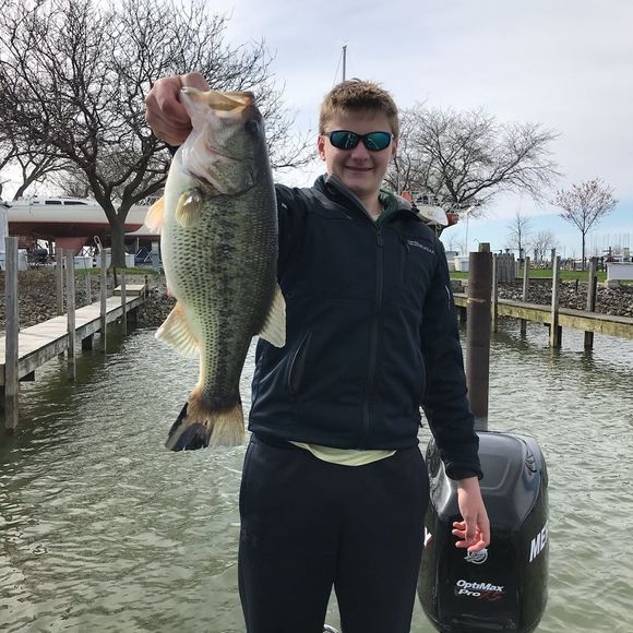 Meet your Posher, Lisa - Picture 1 of 1